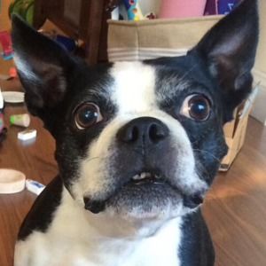 Meet your Posher, Briana